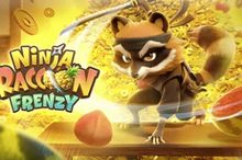 KUWIN slot: Gấu Mèo Ninja - kuwin.markets